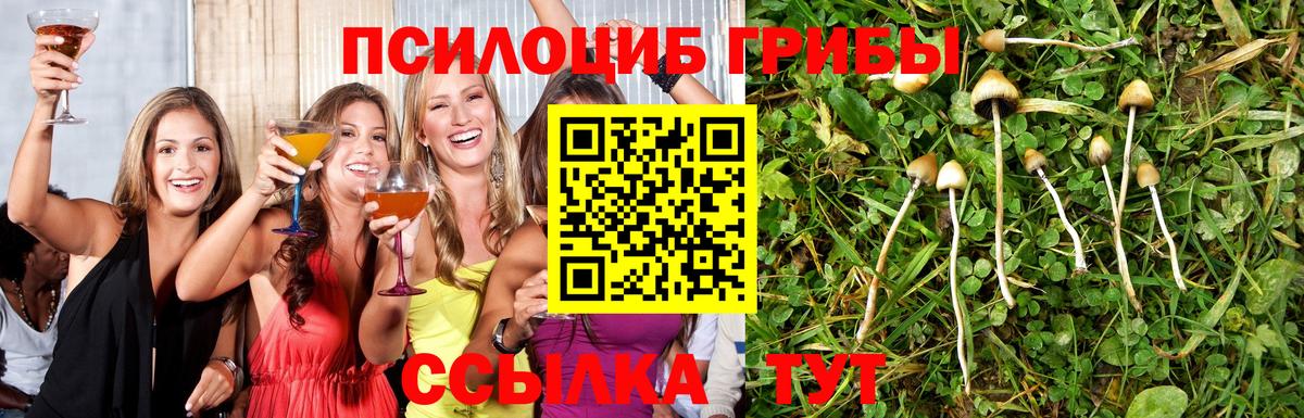 Псилоцибиновые грибы Magic Shrooms Октябрьский